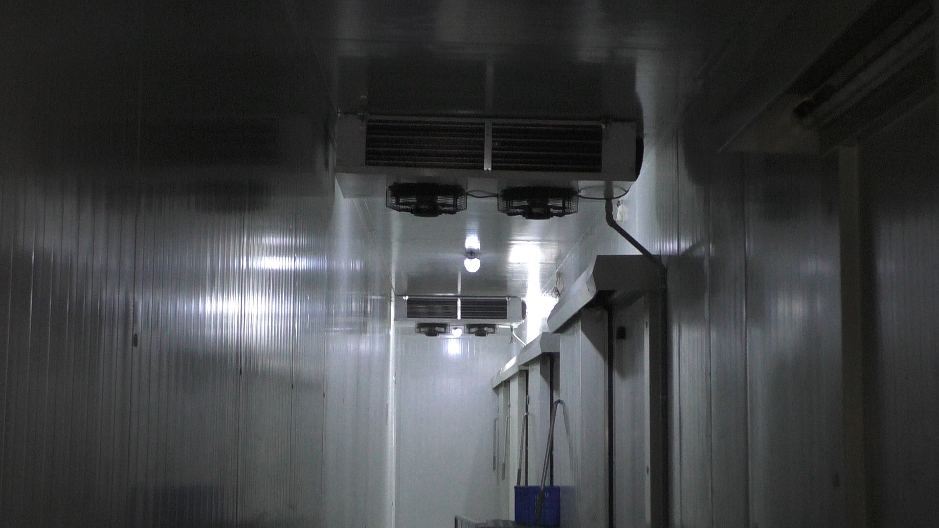 Cold Room for Mushroom Cultivation Chamber
